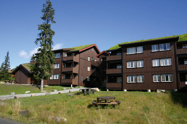 Korting autovakantie Midden-Noorwegen ⏩ Skei Leilighetssenter Appartementen