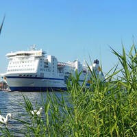 Paspoort nodig voor denemarken