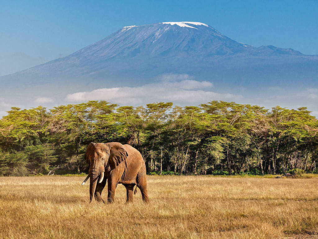 Ontdek Tanzania