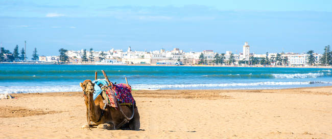 Strand in Essaouira