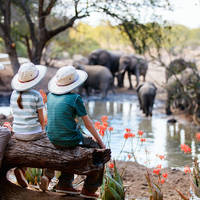 Familie safari