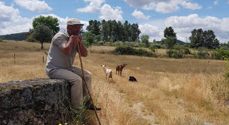 Herder nabij Belmonte