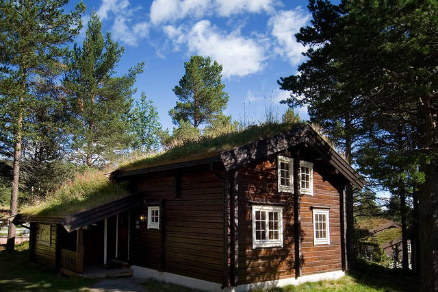 Last minute vakantie Midden-Noorwegen ⏩ Bardola Vakantiewoningen