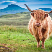 Highlander op Isle of Skye
