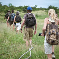 Wandel safari