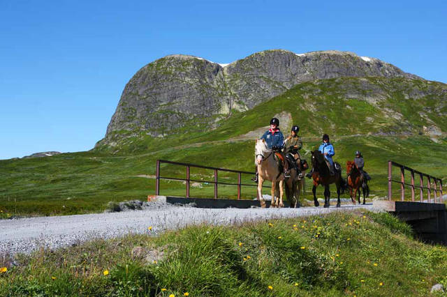 Goedkope vakantie Midden-Noorwegen ⏩ Beitostølen Fjellpark