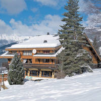 Wintersport Hotel Le Tremplin in Châtel (Franse Alpen, Frankrijk)