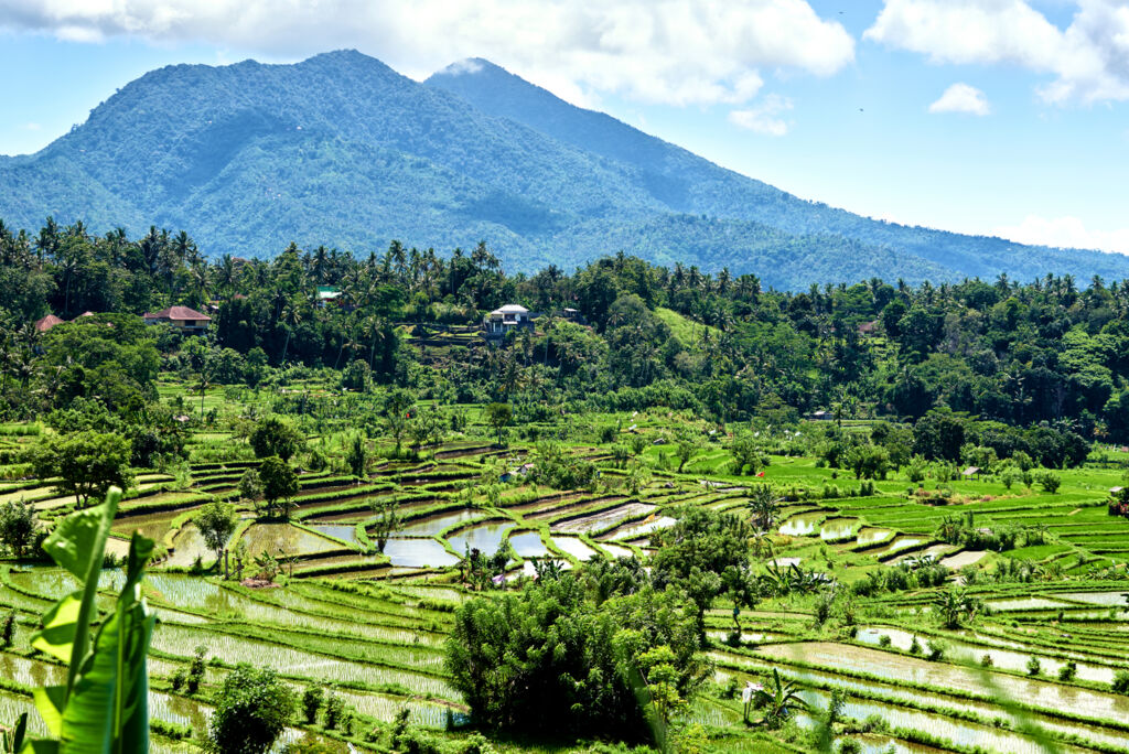 Traditioneel Bali (JI) - Rondreizen Indonesië, Indonesië