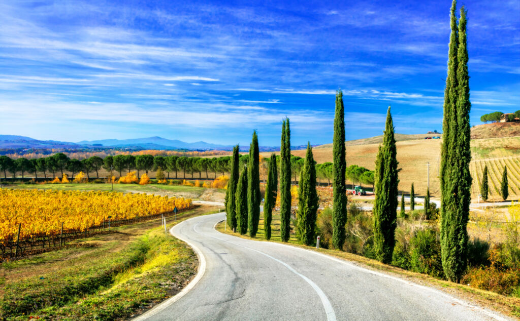 Ontdek het hart van Toscane vanuit Asciano (JI) - Rondreizen Italië