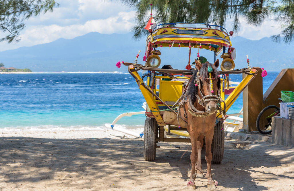 Bali, Gili & Lombok (JI) - Rondreizen Indonesië, Indonesië