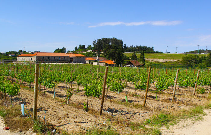 Lousada Country - Lousada, Portugal