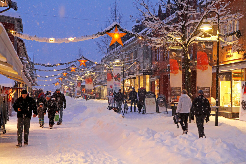 Kerstmarktreis Noorwegen (JI) - Rondreizen Noorwegen, Noorwegen