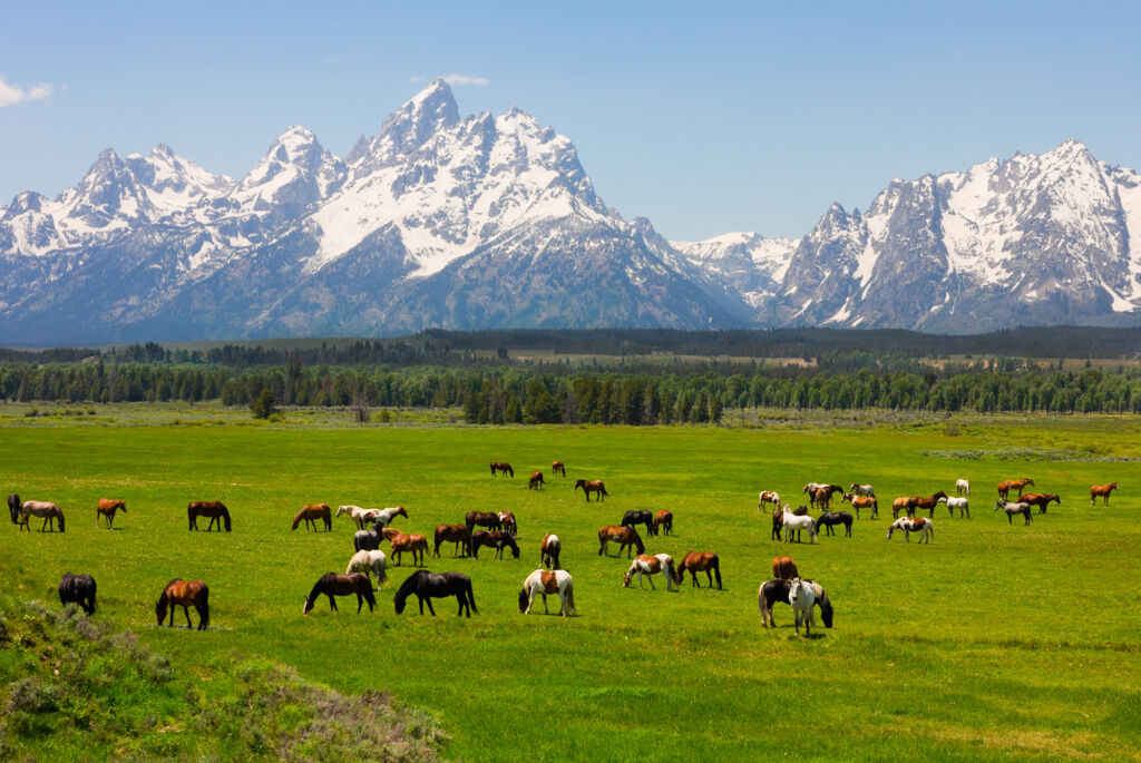 Wyoming’s Wind River Country (JI) - Rondreizen Verenigde Staten, Verenigde Staten