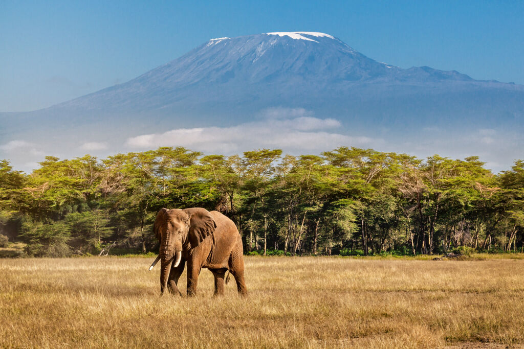 Ontdek Tanzania (JI) - Rondreizen Tanzania, Tanzania