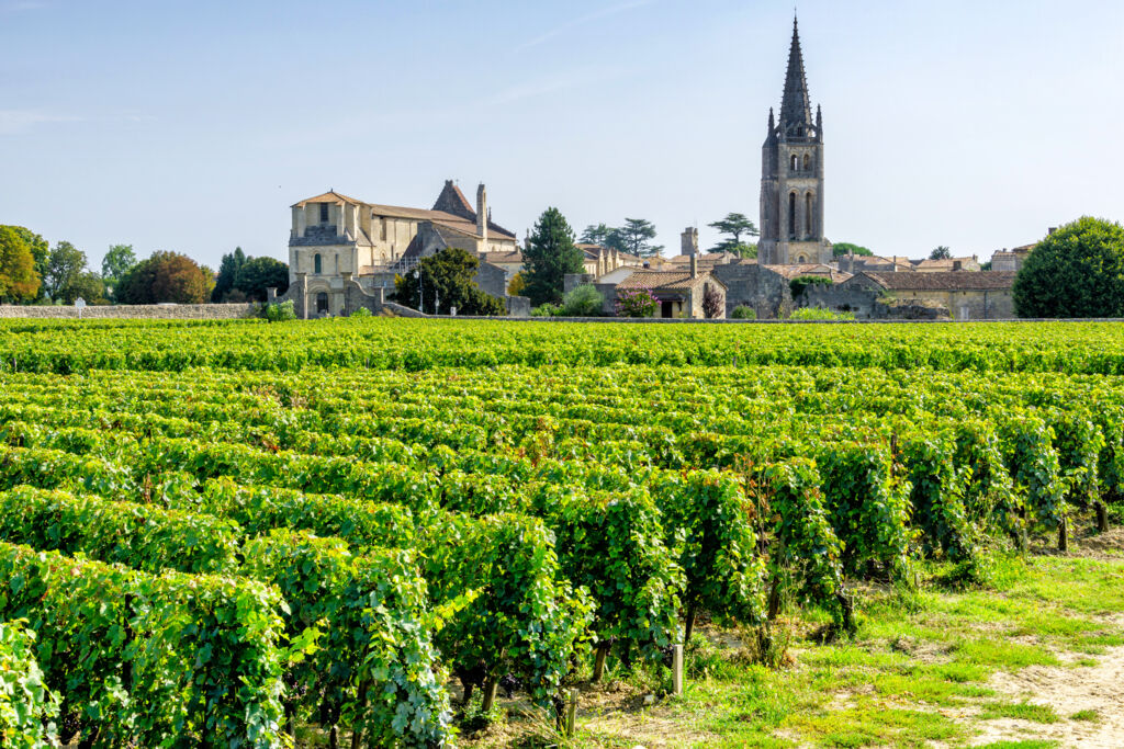 Dordogne, Wijn en Bordeaux (JI) - Rondreizen Frankrijk