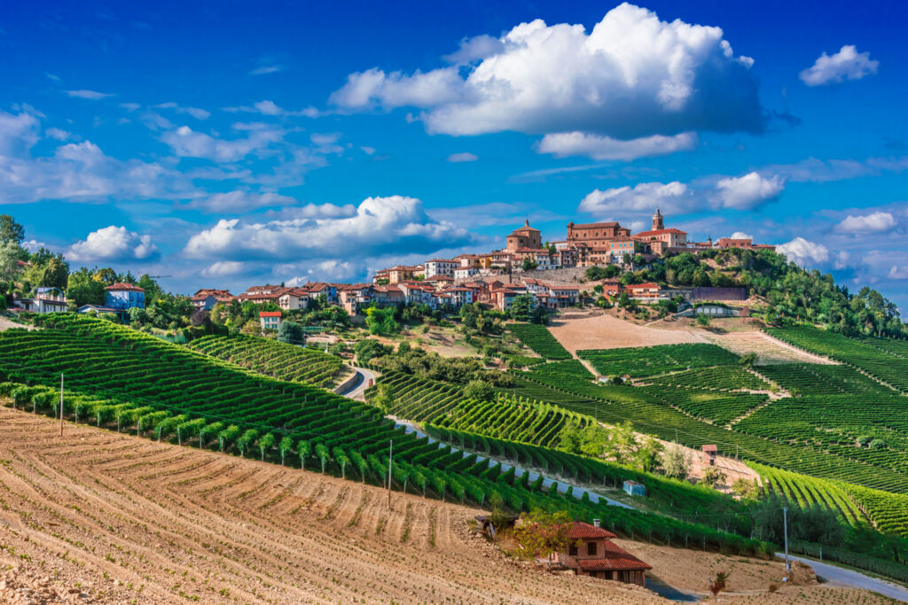 Train & Electric Drive naar de wijnstreek Piemonte (JI) - Rondreizen Italië