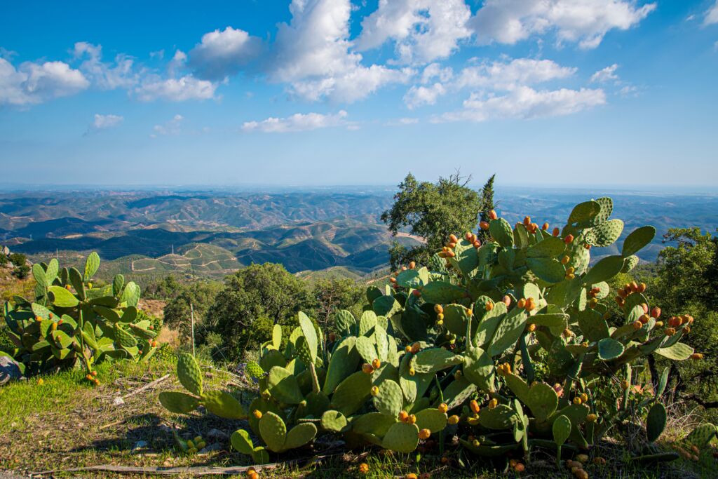 Ontdek de Algarve vanuit Monchique (JI) - Rondreizen Portugal, Portugal