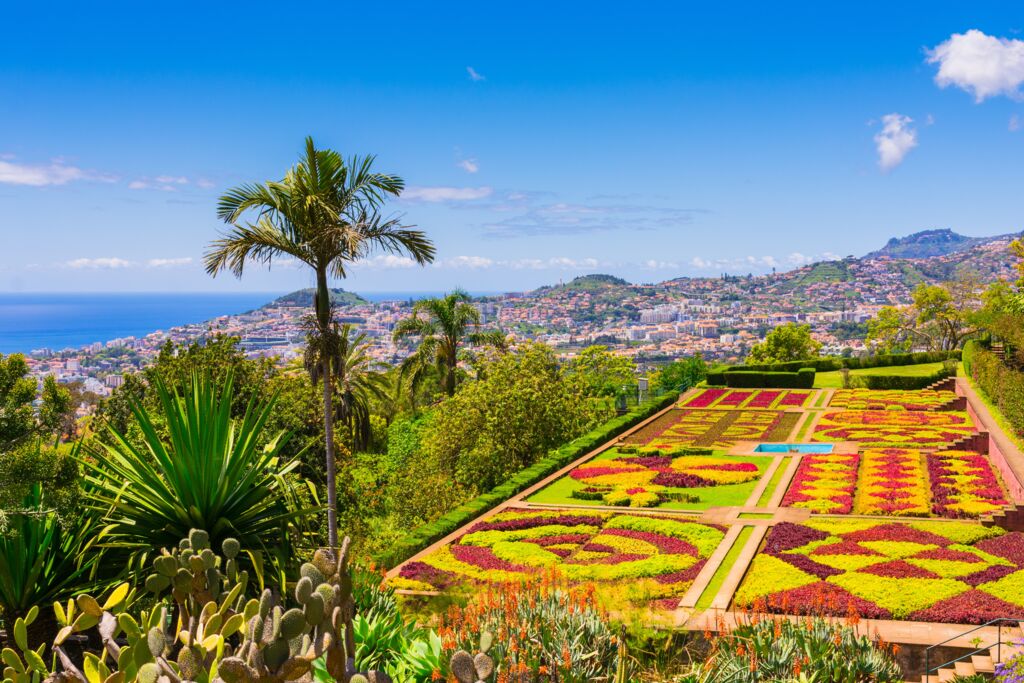 Mooi Madeira (JI) - Rondreizen Portugal, Portugal