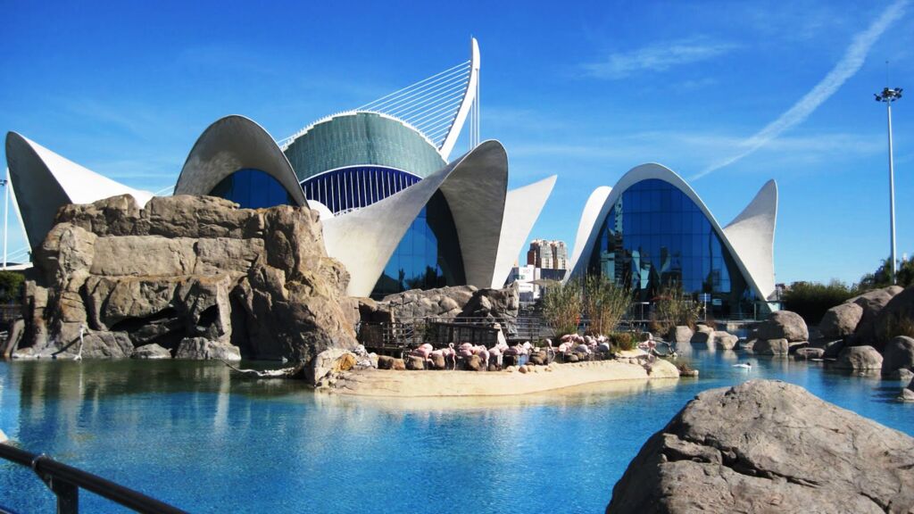 Winterzon in Valencia (JI) - Rondreizen Spanje