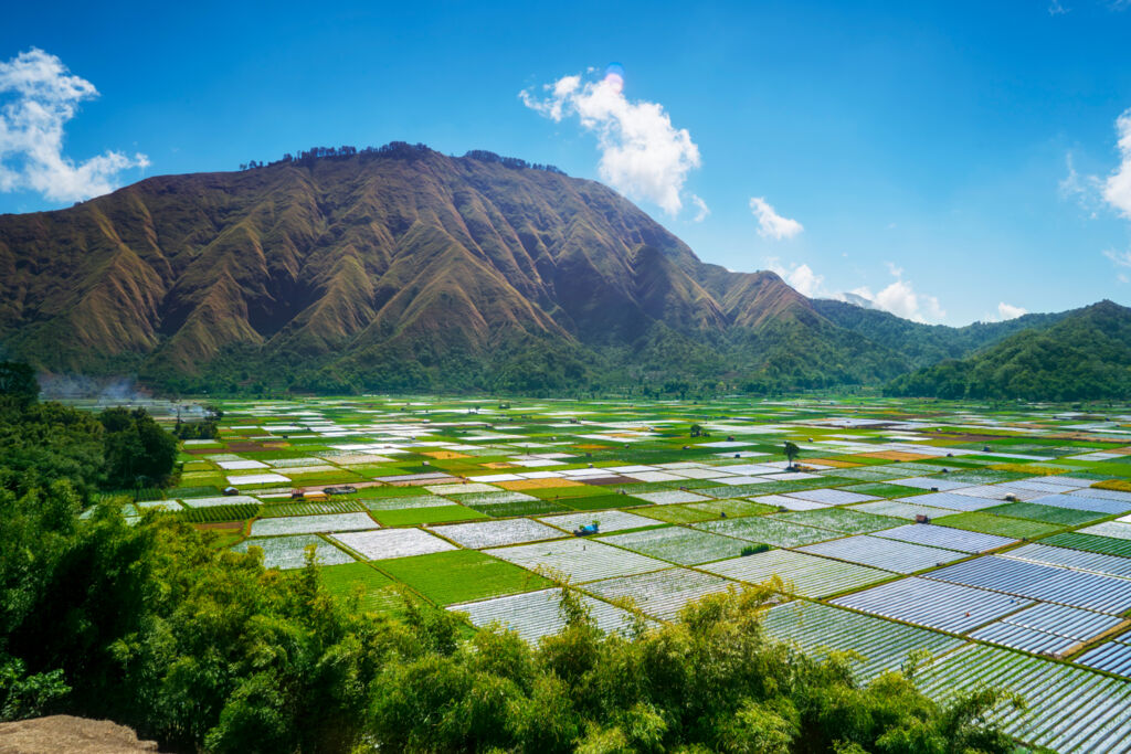 Ontdek Lombok (JI) - Rondreizen Indonesië, Indonesië