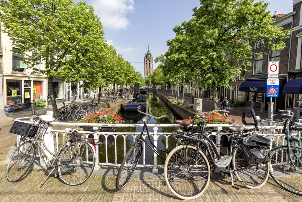 De Amsterdam - Cruisehaven, Cruises