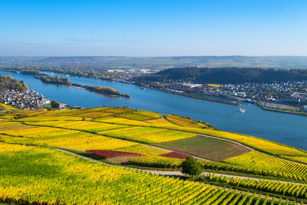 Rijnromantiek naar Rüdesheim met mps Serenade 2 (JI) - Cruisehaven, Cruises