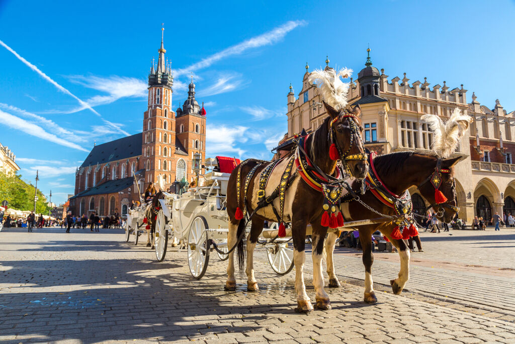 Ontdek Krakau (JH) - Rondreizen Polen, Polen