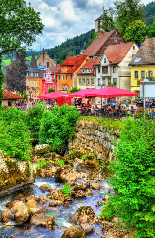Ontdek het Zwarte Woud vanuit Bad B (JI) - Rondreizen Duitsland, Duitsland