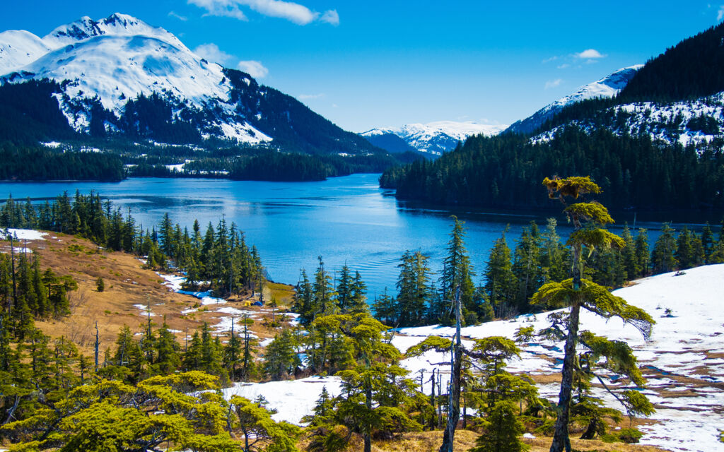 15d AutoRR Ontdek Alaska (JI) - Rondreizen Verenigde Staten, Verenigde Staten