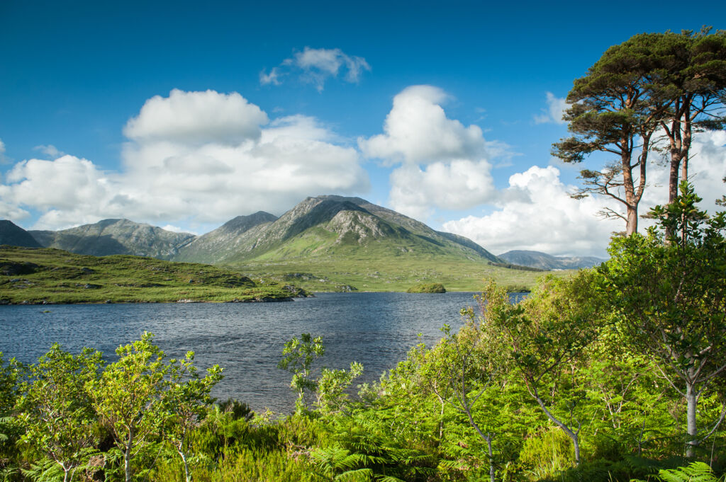 Ierland, 40 tinten groen (JI) - Rondreizen Ierland, Ierland