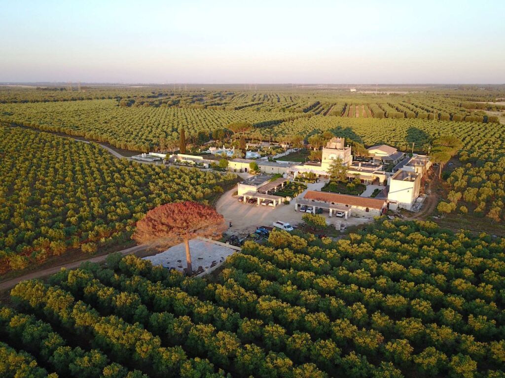 Agriturismo Tenuta Mazzetta - Mesagne, Italië