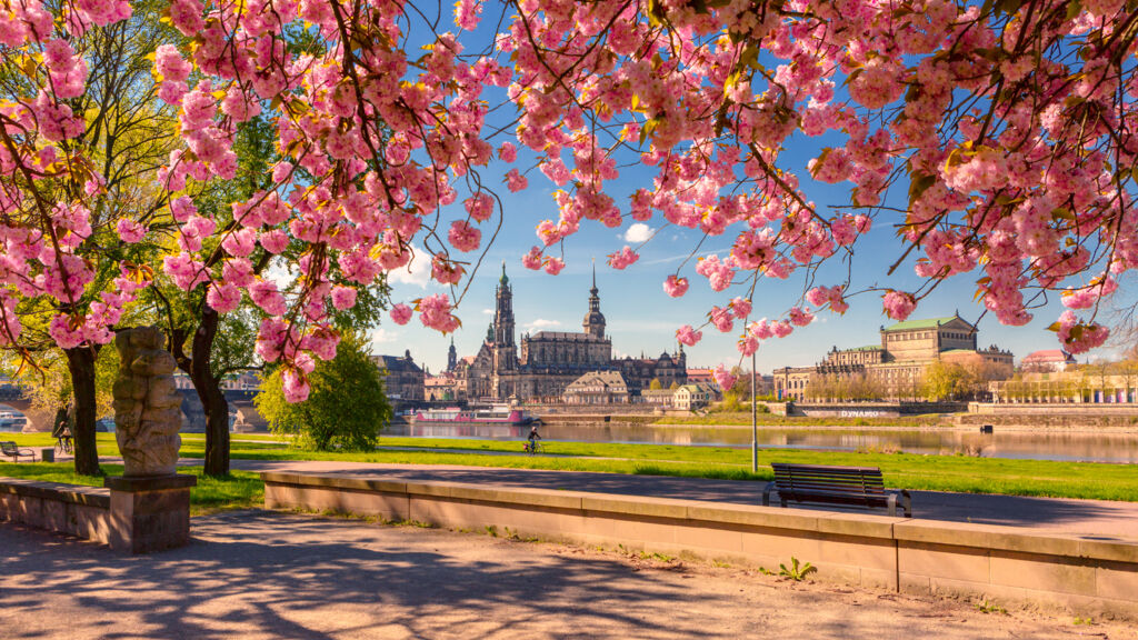 Dresden, Leipzig en Weimar (JI) - Rondreizen Duitsland, Duitsland